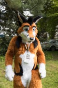 Furry Weekend Holland 2023