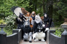 Furry Weekend Holland 2023