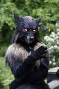 Furry Weekend Holland 2023