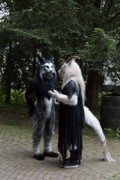 Furry Weekend Holland 2023