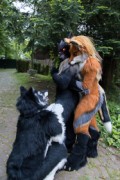 Furry Weekend Holland 2023