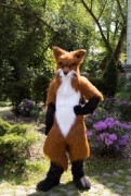 Furry Weekend Holland 2023