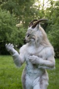 Furry Weekend Holland 2023