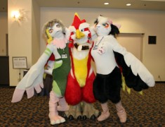 Japan Meeting of Furries 2016