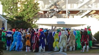 Japan Meeting of Furries 2016