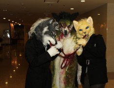 Japan Meeting of Furries 2016