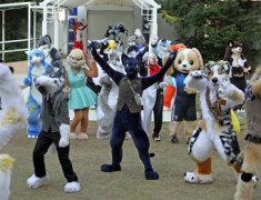 Japan Meeting of Furries 2016