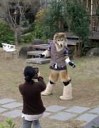 Japan Meeting of Furries 2016