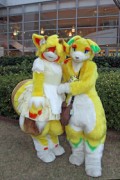 Japan Meeting of Furries 2016