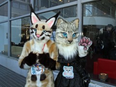 Japan Meeting of Furries 2017