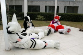 Japan Meeting of Furries 2017