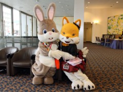 Japan Meeting of Furries 2017