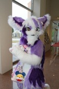 Japan Meeting of Furries 2017
