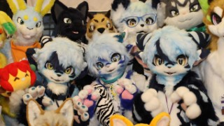 Japan Meeting of Furries 2017