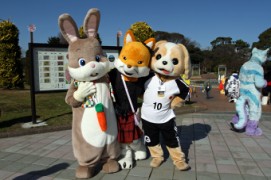 Japan Meeting of Furries 2017