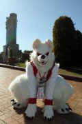 Japan Meeting of Furries 2017