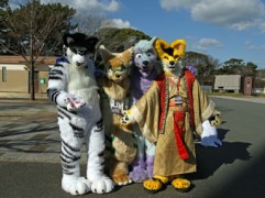 Japan Meeting of Furries 2017