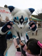 Japan Meeting of Furries 2017