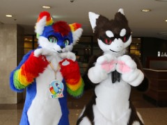 Japan Meeting of Furries 2018