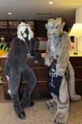 Japan Meeting of Furries 2018