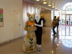 Japan Meeting of Furries 2018