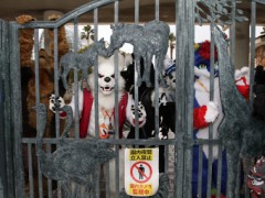 Japan Meeting of Furries 2018