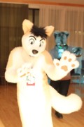 NordicFuzzCon 2013