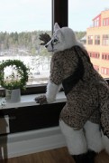 NordicFuzzCon 2013