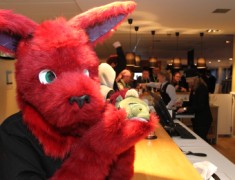 NordicFuzzCon 2013