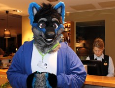 NordicFuzzCon 2013