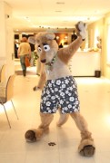 NordicFuzzCon 2013