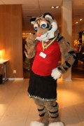 NordicFuzzCon 2013