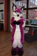 NordicFuzzCon 2013