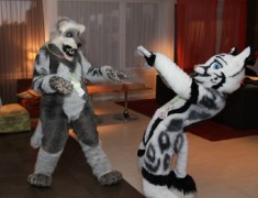 NordicFuzzCon 2013