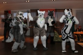 NordicFuzzCon 2013