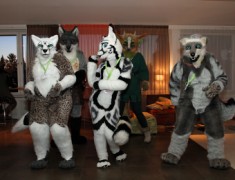 NordicFuzzCon 2013