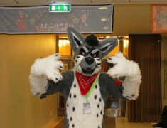 NordicFuzzCon 2014