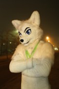 NordicFuzzCon 2014