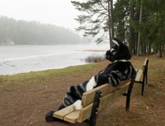 NordicFuzzCon 2014