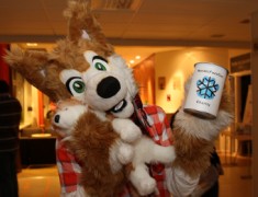 NordicFuzzCon 2014