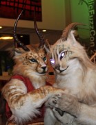 NordicFuzzCon 2015