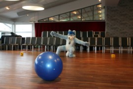 NordicFuzzCon 2015