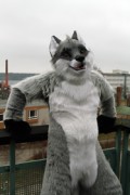 NordicFuzzCon 2015