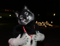 NordicFuzzCon 2015