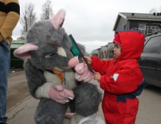 NordicFuzzCon 2016