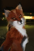 NordicFuzzCon 2016