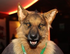 NordicFuzzCon 2016