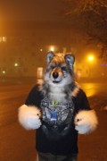 NordicFuzzCon 2016