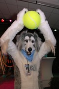 NordicFuzzCon 2016