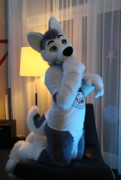 NordicFuzzCon 2016